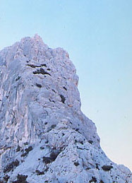 Punta Cusidore