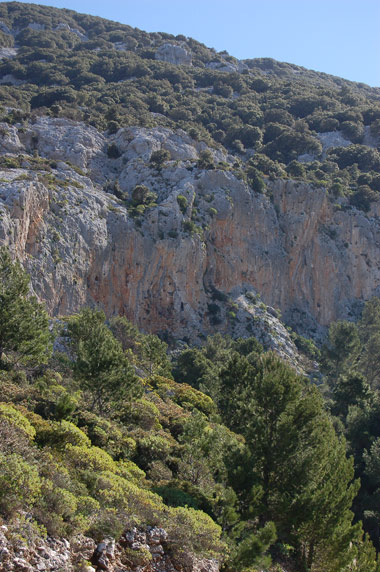 Falesia di Dorgali (Atha Ruja)