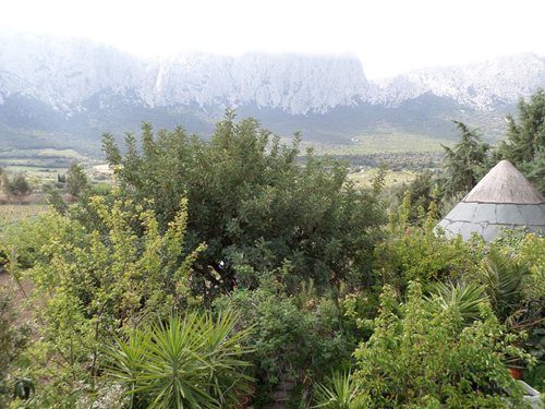 Casa campagna - Oliena