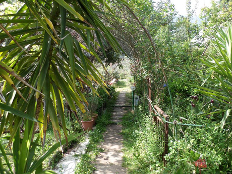 Casa campagna - Oliena