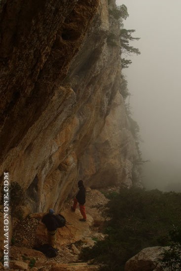 Secteur Arcadio, route de Cartoe