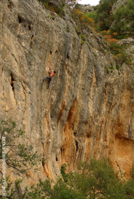 Settore Pederiva, Codula Fuili